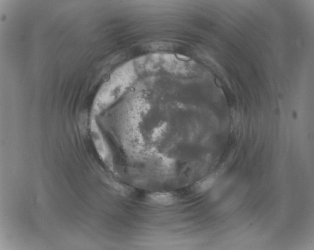 X0000076030189200610152056