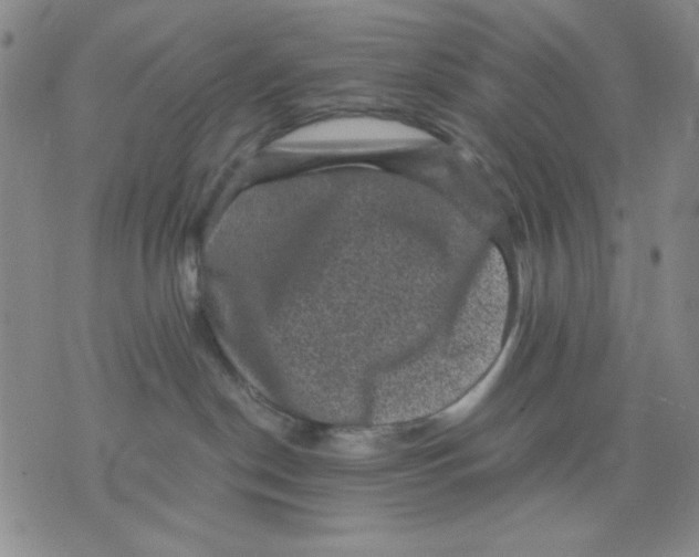 X0000076030190200610152056