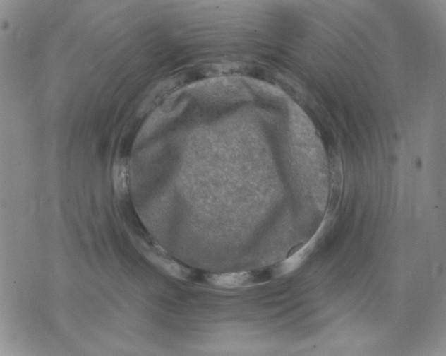 X0000076030191200610152056