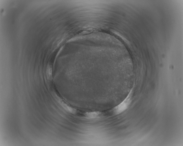 X0000076030192200610152056