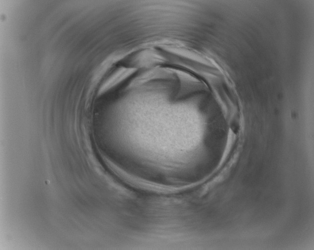 X0000076030193200610152056