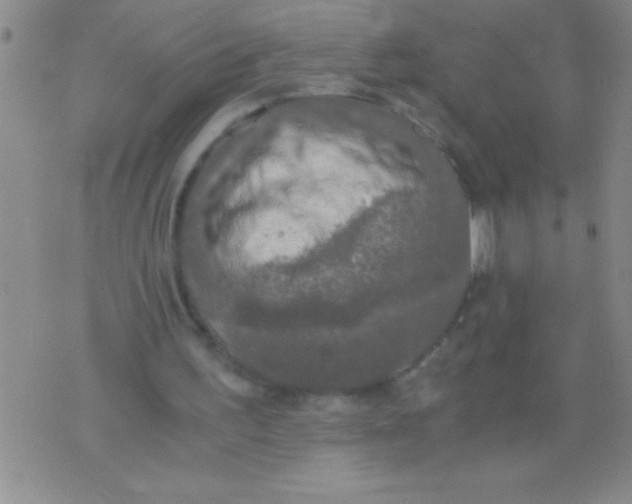 X0000076030195200610152056