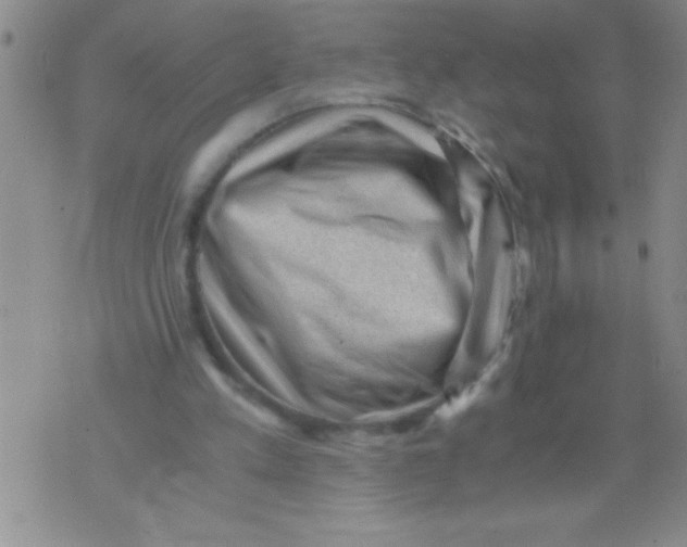 X0000076030197200610152055