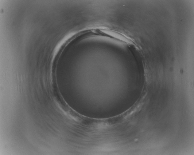 X0000076030200200610152055