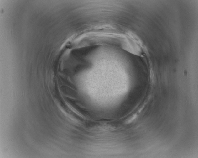 X0000076030201200610152055