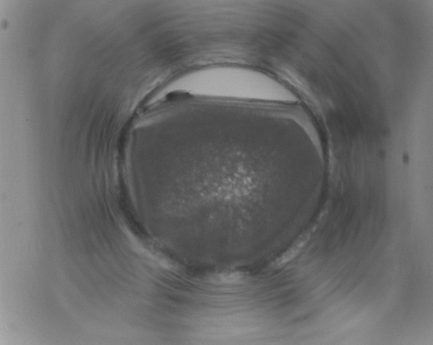 X0000076030202200610152055