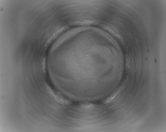 X0000076030206200610152055