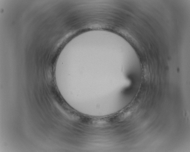 X0000076030208200610152055