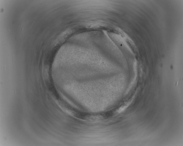 X0000076030209200610152055