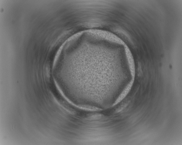 X0000076030210200610152055