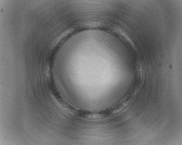 X0000076030212200610152055