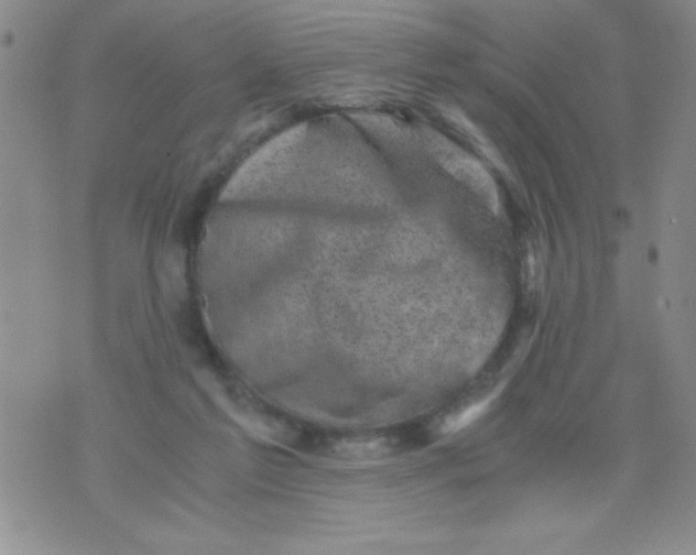 X0000076030213200610152055