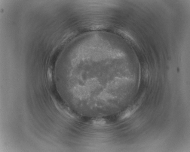 X0000076030214200610152055