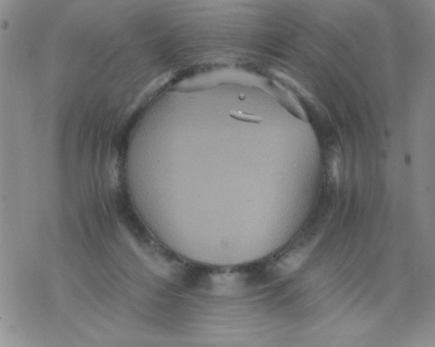 X0000076030216200610152055