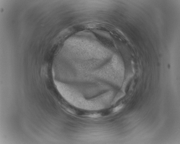 X0000076030217200610152055