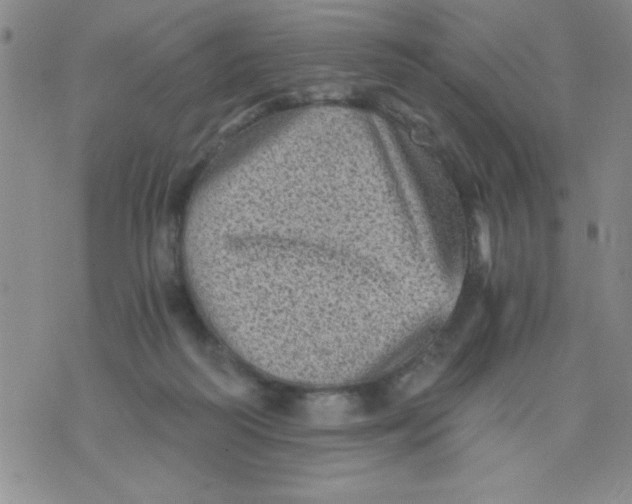 X0000076030218200610152055