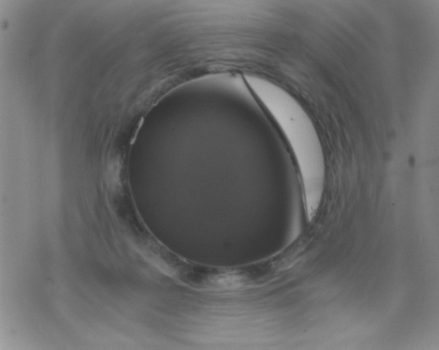 X0000076030219200610152055