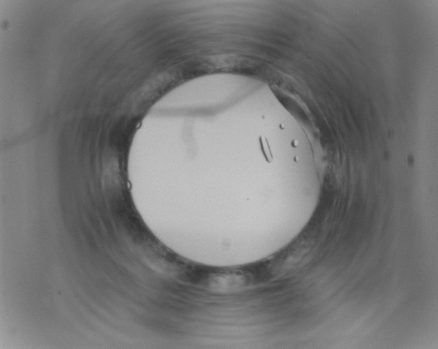 X0000076030220200610152055