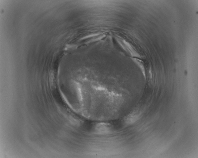 X0000076030222200610152055