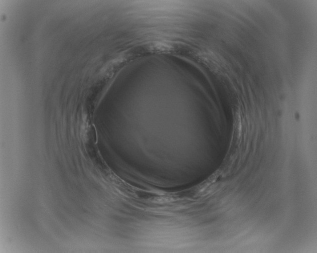 X0000076030223200610152055