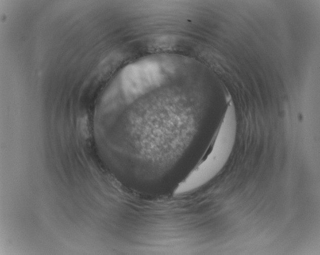 X0000076030224200610152055