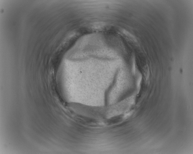 X0000076030225200610152055