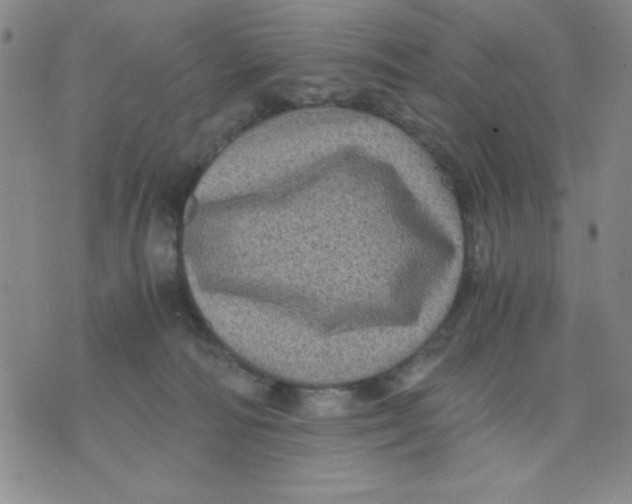 X0000076030226200610152055