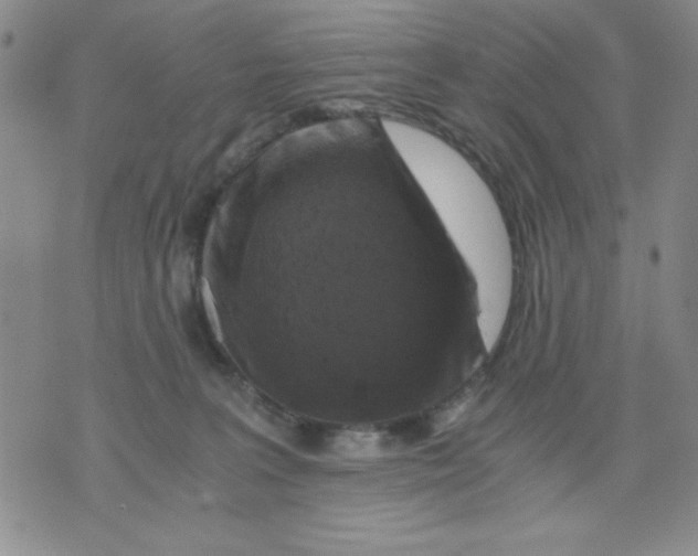 X0000076030227200610152055