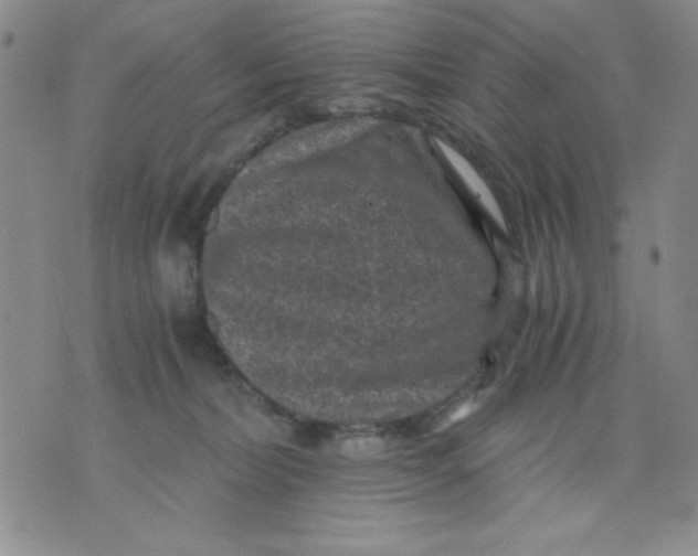 X0000076030228200610152055