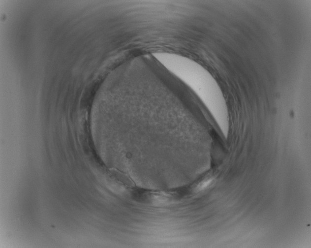 X0000076030229200610152055