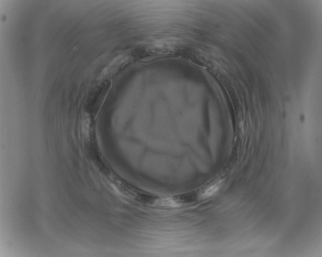 X0000076030231200610152055