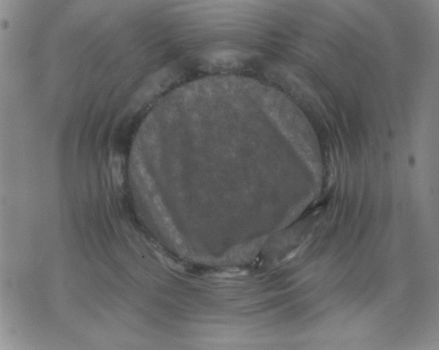 X0000076030232200610152055