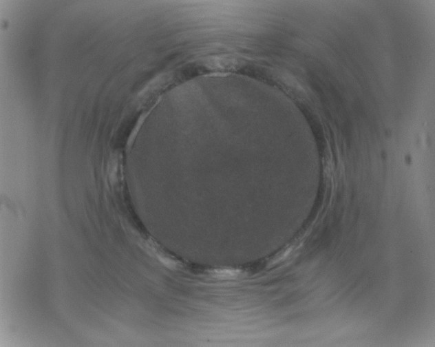 X0000076030233200610152055