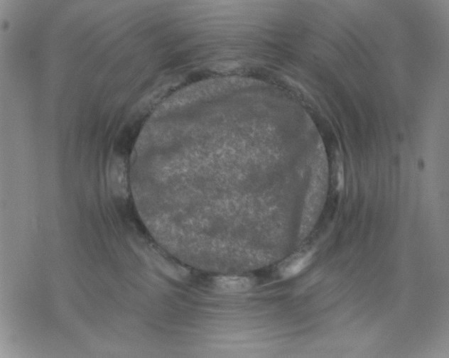 X0000076030234200610152055