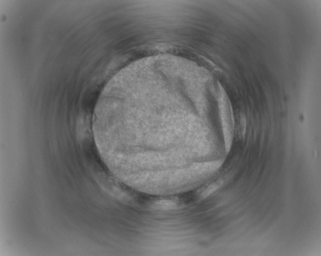 X0000076030236200610152055