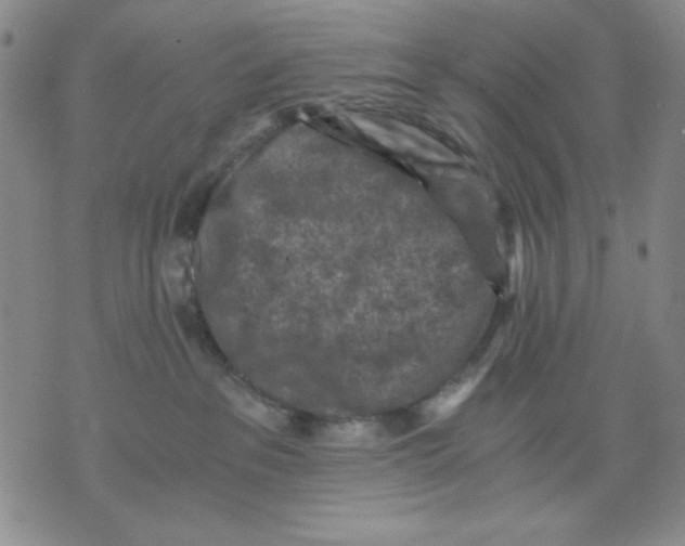 X0000076030237200610152055