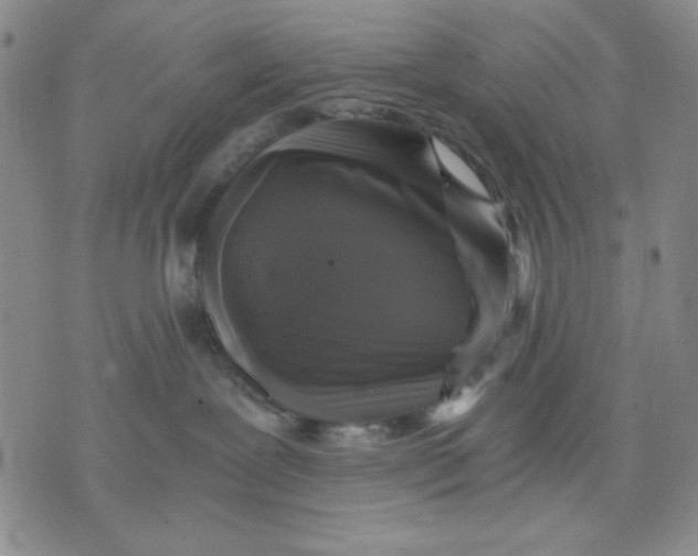 X0000076030239200610152055