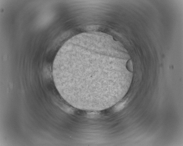 X0000076030240200610152055