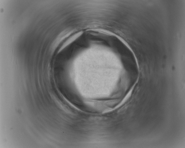 X0000076030242200610152054