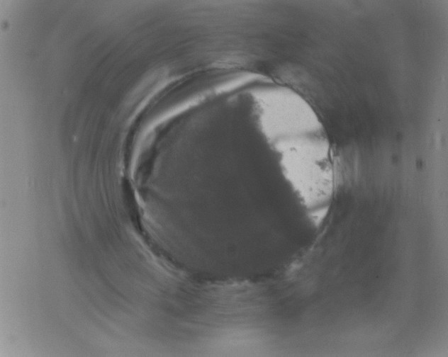 X0000076030243200610152054