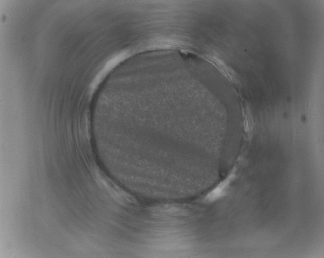 X0000076030244200610152054