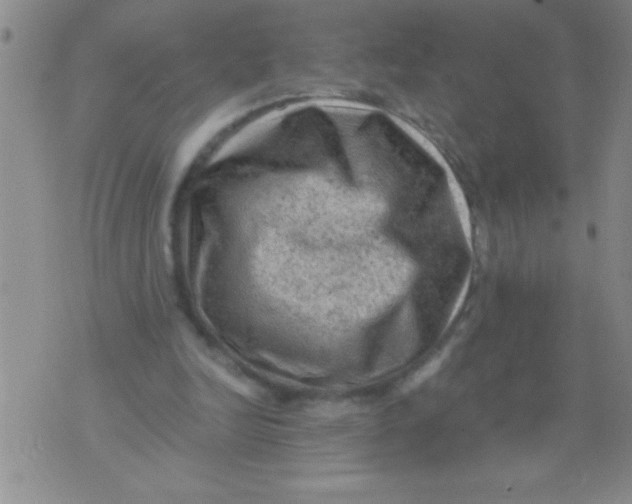 X0000076030246200610152054