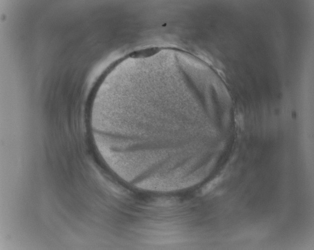 X0000076030248200610152054