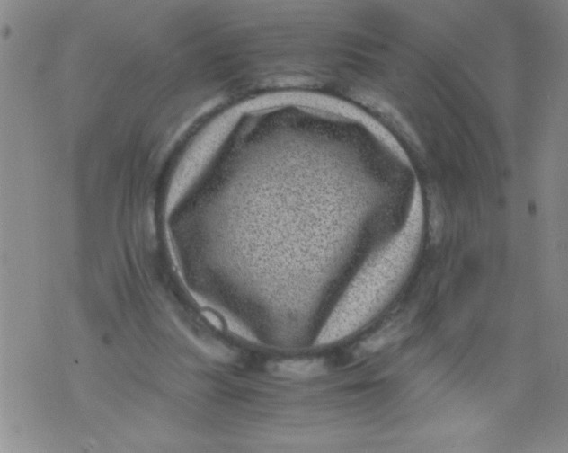 X0000076030251200610152054