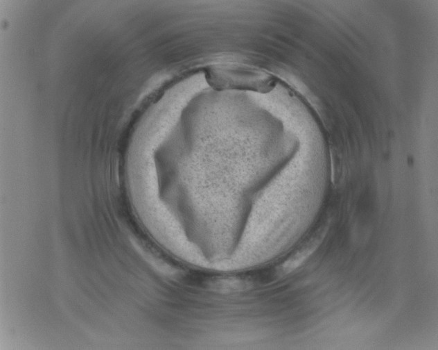 X0000076030253200610152054