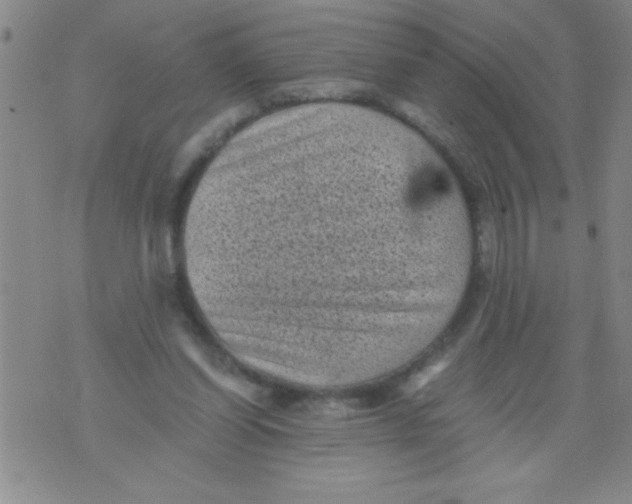 X0000076030254200610152054