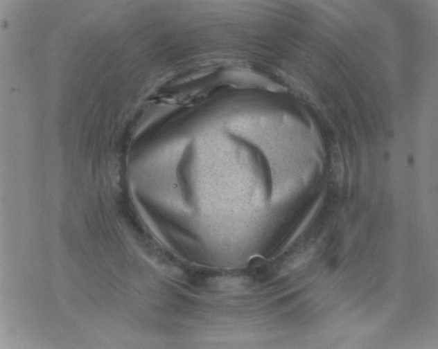 X0000076030255200610152054