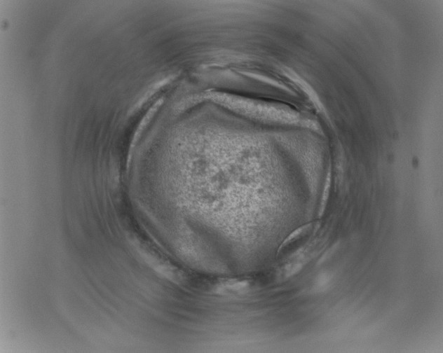 X0000076030257200610152054