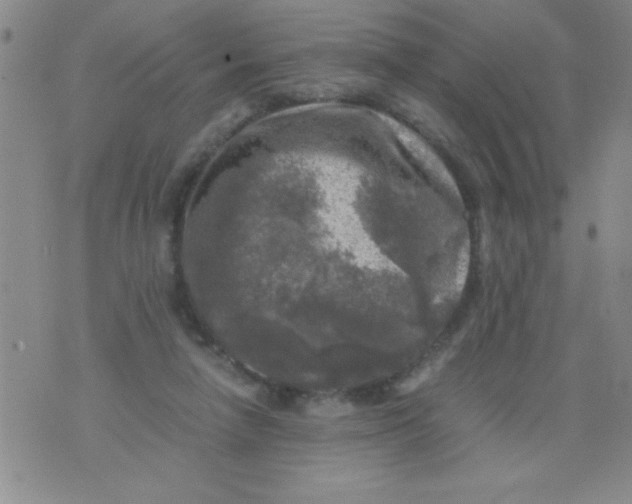 X0000076030258200610152054