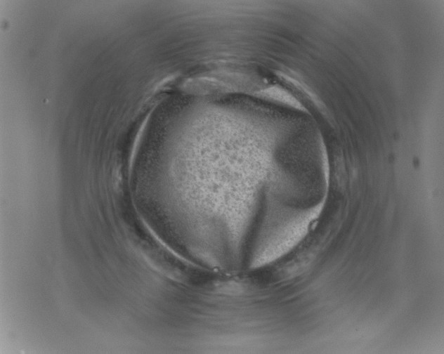 X0000076030259200610152054